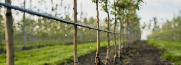 اتصالات زانو و سه راهی