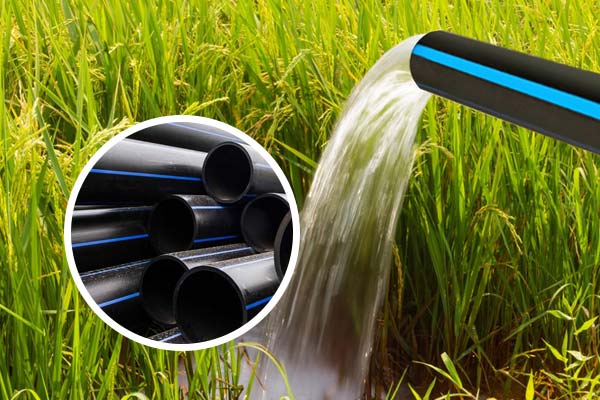 خدمات مشتریان و پشتیبانی لوله و اتصالات کشاورزی و نوار تیپ امیری نژاد در شیراز