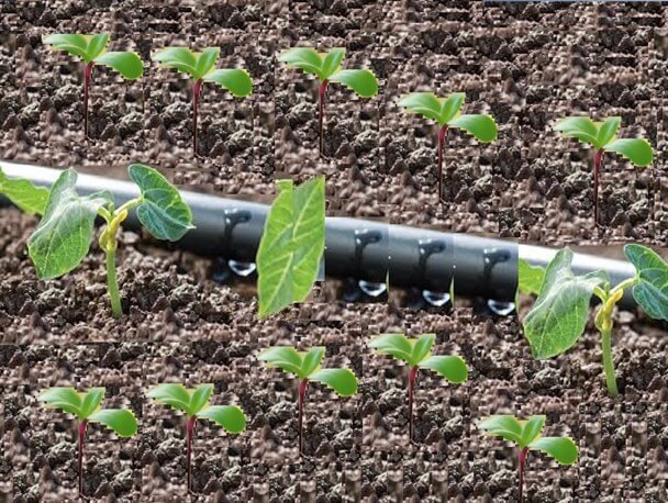 تجهیزات آبیاری مدرن